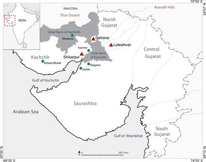 Integrating Lipid and Starch Grain Analyses From Pottery Vessels to Explore Prehistoric Foodways in Northern Gujarat, India